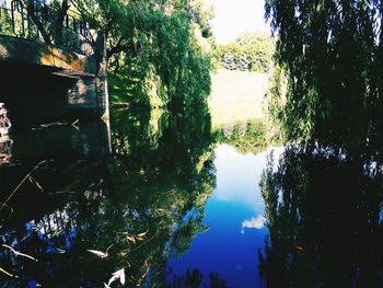 Reflection of trees in water against sky