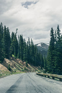 Road amidst trees against sky