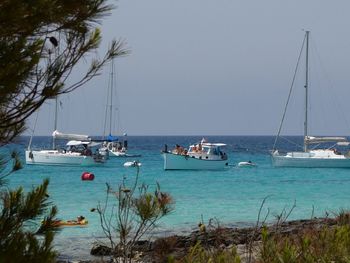 Sailboats moored on sea against sky