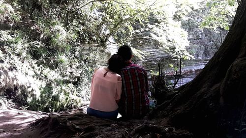 Rear view of woman sitting on rock in forest