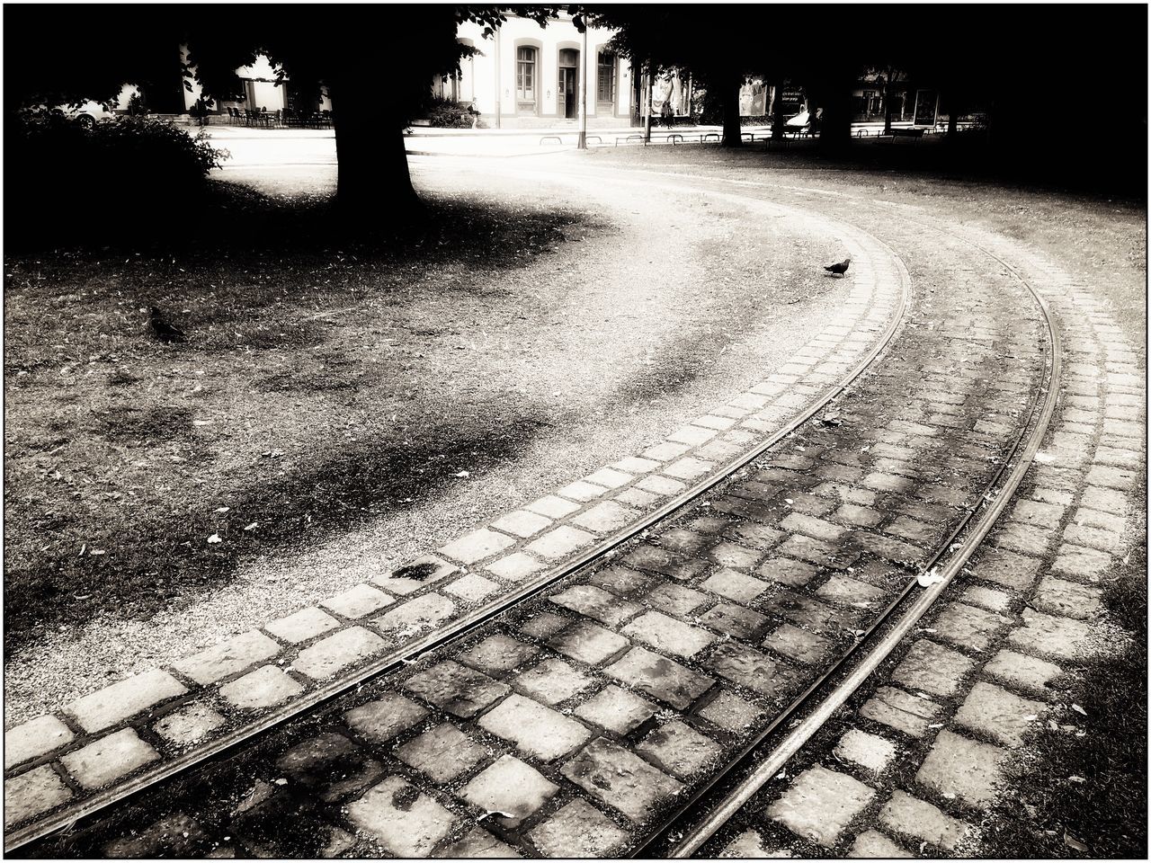 shadow, street, footpath, sunlight, transfer print, cobblestone, auto post production filter, paving stone, outdoors, one person, tree, building exterior, sidewalk, road, the way forward, built structure, day, grass, architecture, city