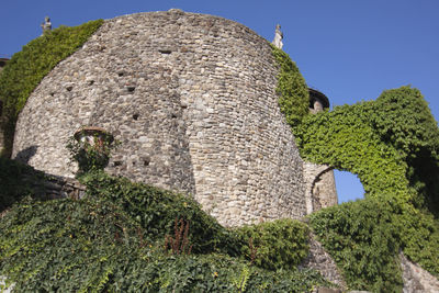 Low angle view of old ruin tree against sky