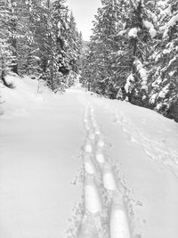 Low section of person on snow covered land