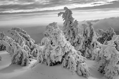 Scenic view of snow covered land against sky