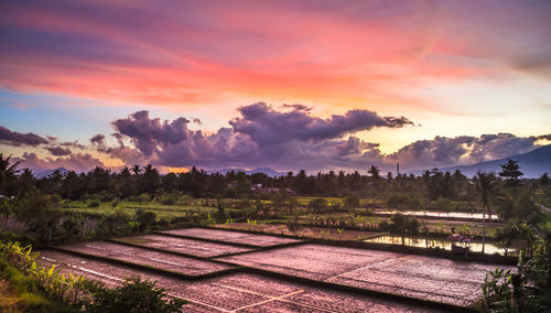 Scenic view of field against sky during sunset