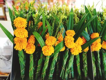 Close-up of fresh orange flowers in market