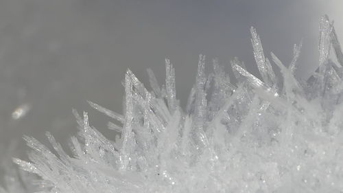 Close-up of snow against sky