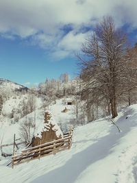 Bare trees on snow covered landscape against sky