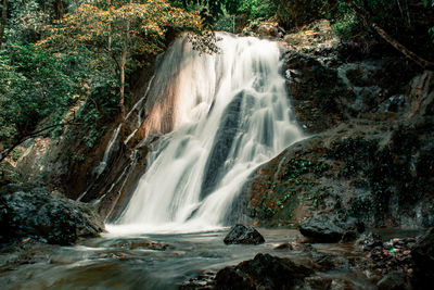 Scenic view of waterfall in forest