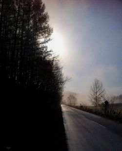 Empty road along trees