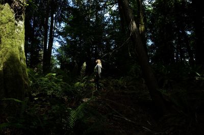 Woman standing by trees in forest