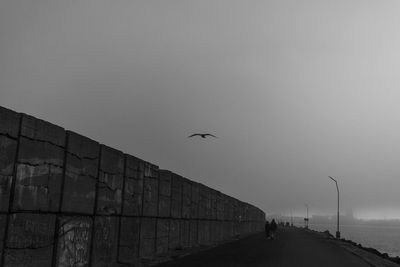 Birds flying over the foggy sky