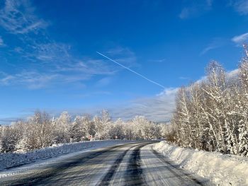 Road amidst plants and trees against sky