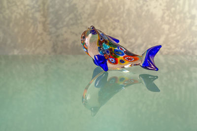 Close-up of a bird against blue water