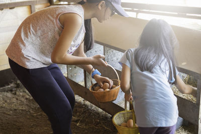 Mother and daughter collecting eggs in dairy farm