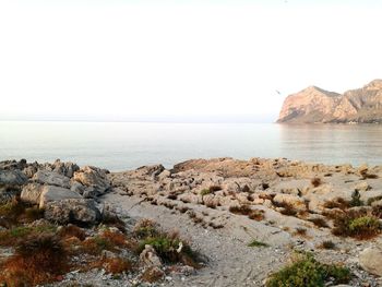 Scenic view of sea and rocks against clear sky