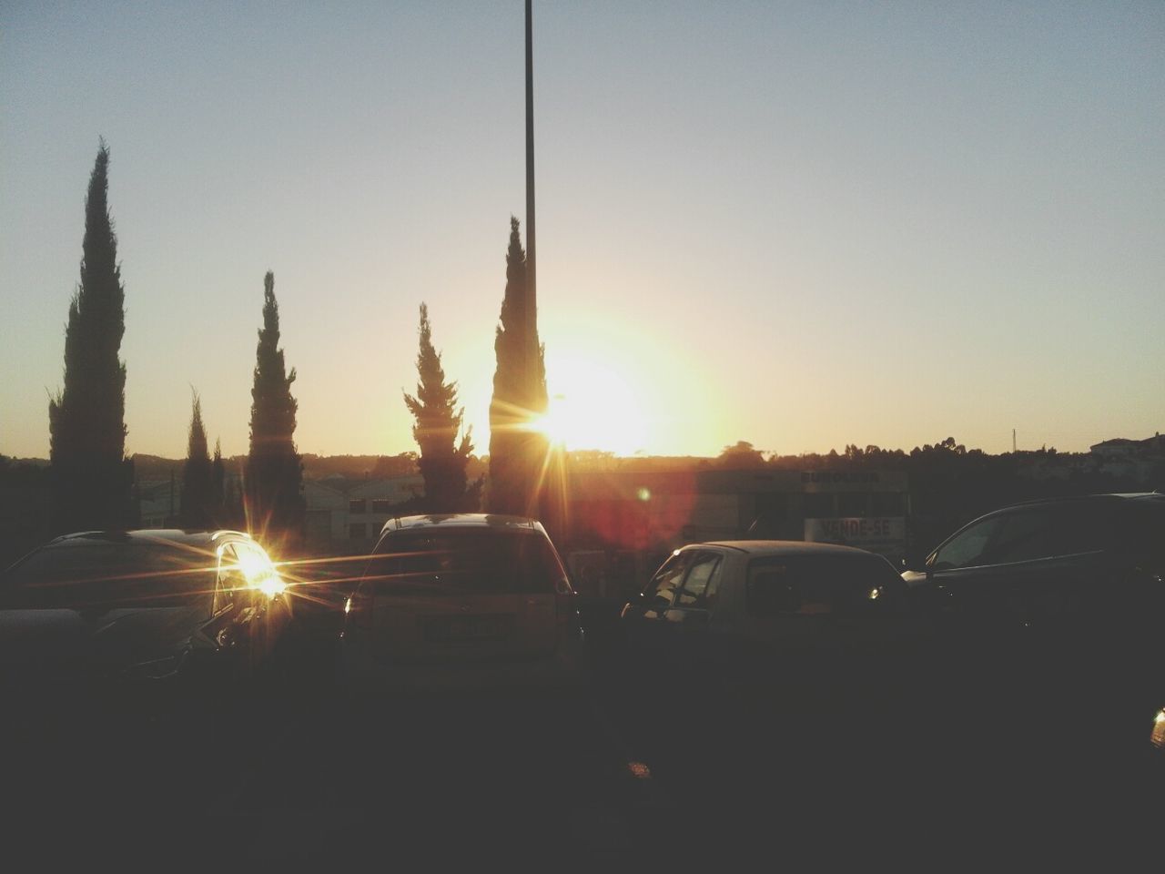 SUN SHINING THROUGH CAR WINDOW