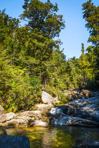 River flowing through rocks in forest against sky