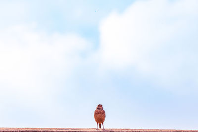 sky