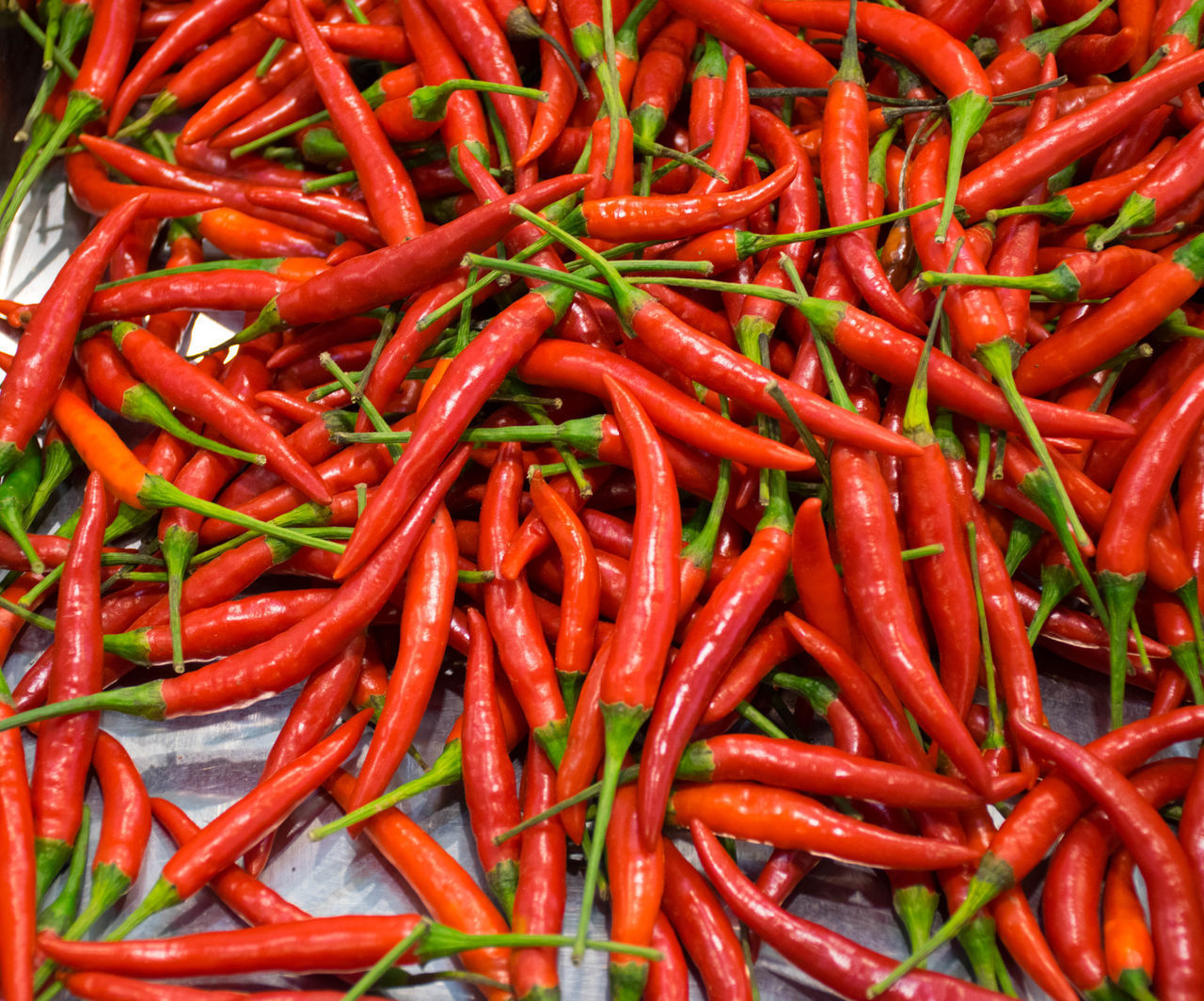 CLOSE-UP OF RED CHILI PEPPERS