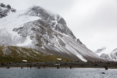 Scenic view of snowcapped mountain against sky