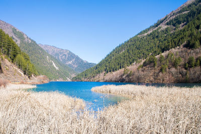 Scenic view of beach against blue sky