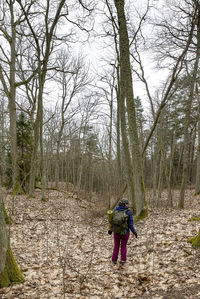 Rear view of person walking in forest during winter