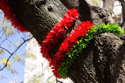 Artificial garland wrapped around tree trunk