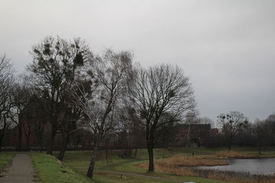 Trees on field against sky