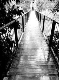 Footbridge amidst trees