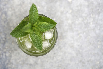 Glass of clear green liquid is cooled with ice cubes. mint leaves of morocco mint