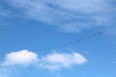 Low angle view of birds flying against blue sky