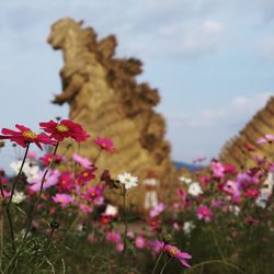 Close-up of flowers blooming against sky