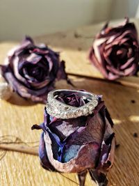 Close-up of flower on table