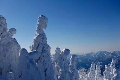 Frost-covered trees