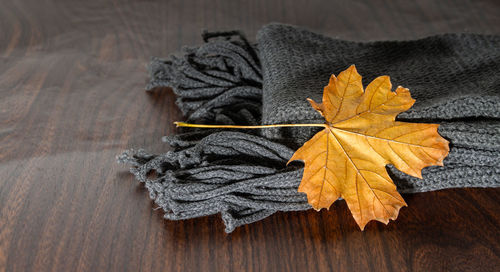 High angle view of dry leaves on table