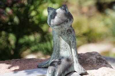 Close-up of animal sculpture on tree trunk