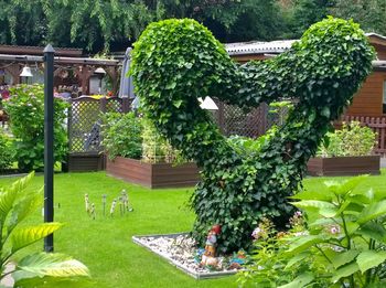 View of green plants in yard