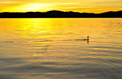 Scenic view of lake at sunset