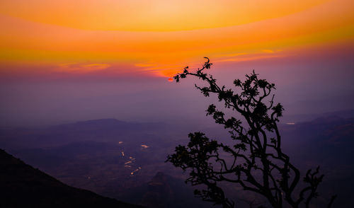 Silhouette tree against sky during sunset