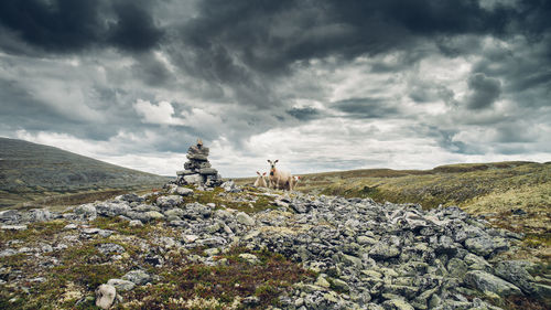 Scenic view of landscape against cloudy sky