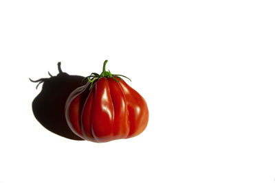 A red tomato of