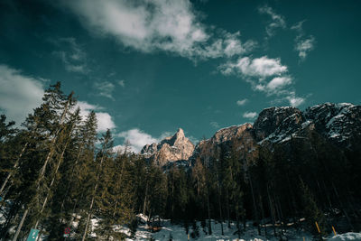 Low angle view of trees and snowcapped mountains against sky