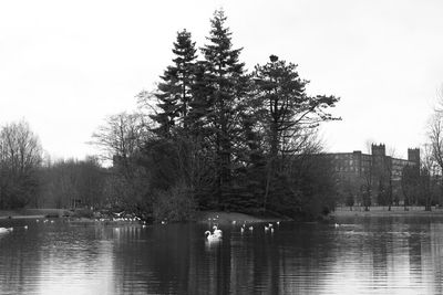 Reflection of trees in river