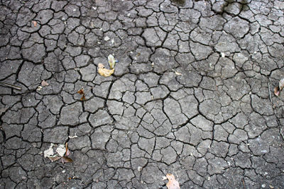 High angle view of cracked street