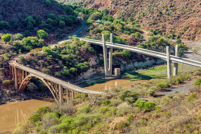 Bridge over river in forest