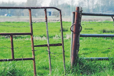 Fence on grassy field