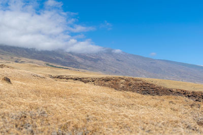 Landscape along piilani highway on maui, hawaii, usa. back road to hana along haleakala's south end