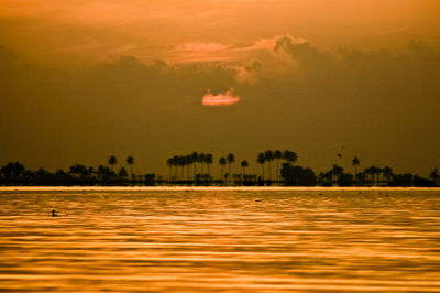 Scenic view of sea at sunset