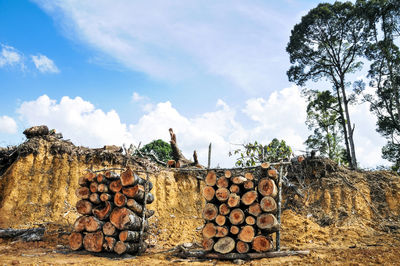 Stack of logs against sky